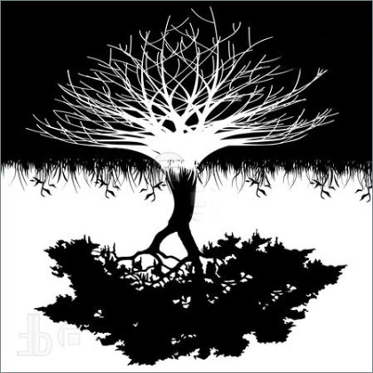 Tree_roots