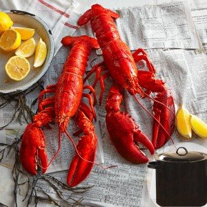 fresh-lobsters